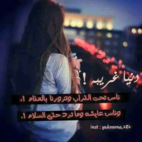 عن الدنيا