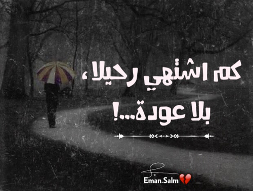 عن الرحيل