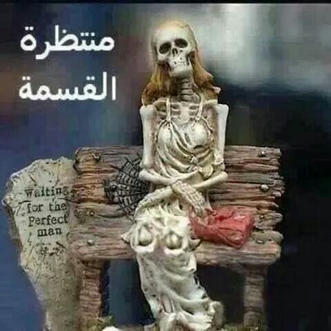 عن القسمة