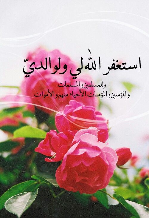 عن الوالدين