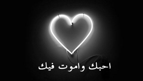 قلب احبك واموت فيك