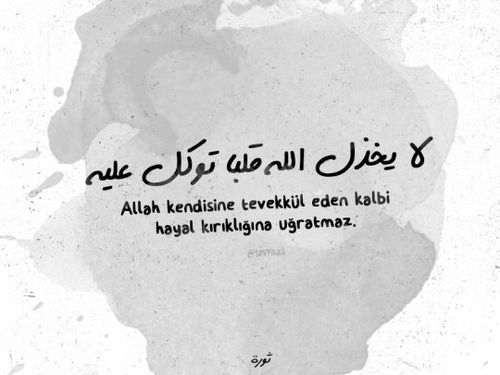كلام امل
