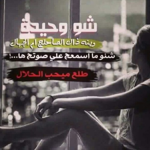 كلام عن الوحدة