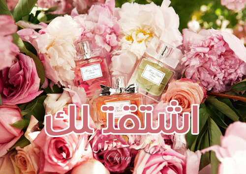كلمه اشتقتلك