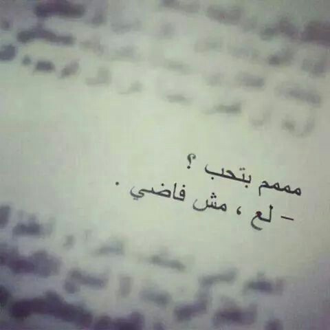 للحبيب 3