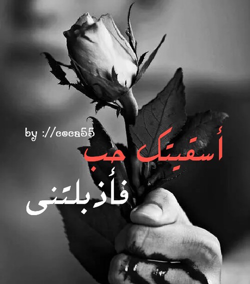 للحبيب حزن