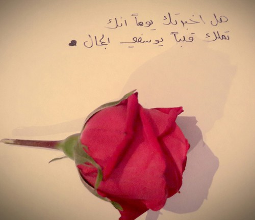 بالصور عن الزوج