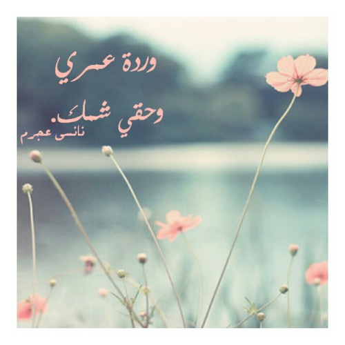 بالصور لزوجي