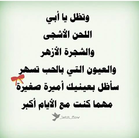 عن الاب 2