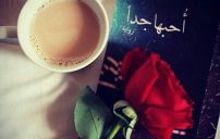 صور عن الصداقة