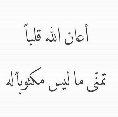 عن الحياة جميل