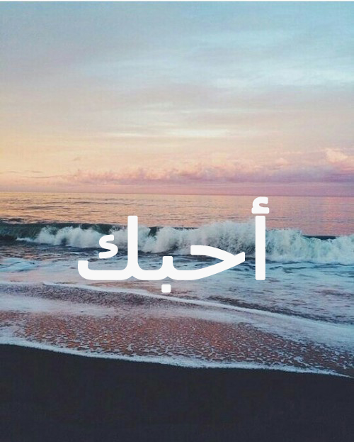 احبك على البحر