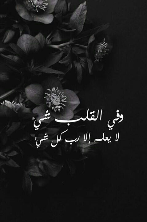 الصور الحزينة 3