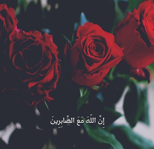 الصور الحزينة 5