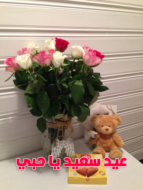 دباديب عيد الحب 667