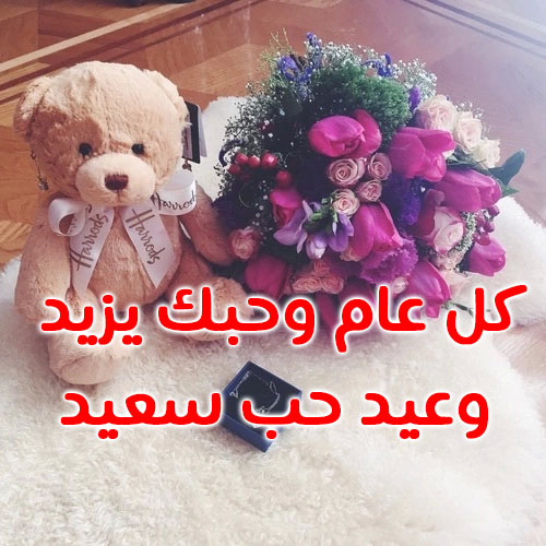 صور دبدوب عيد الحب 49