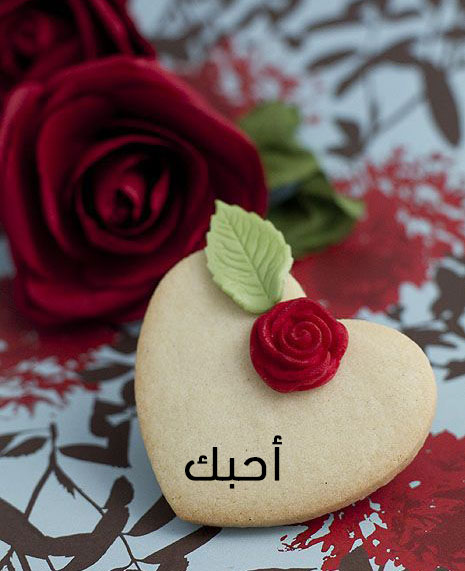 صور قلب لعيد الحب 66