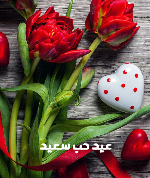 صور ورد عيد الحب 5