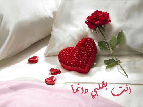 صور وردة حب 443