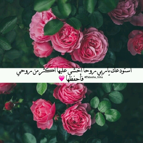 كلام رومانسي 8ع4