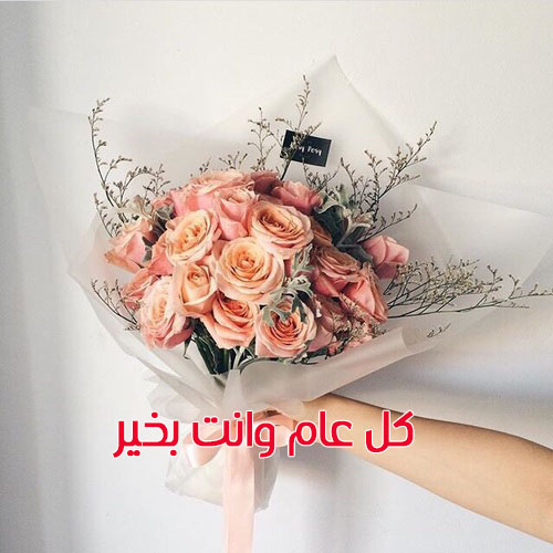 ورود عيد الحب 66