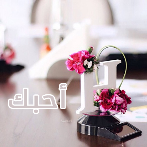 حرف الحاء