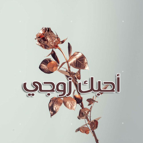 زوحي على وردة ذهبية