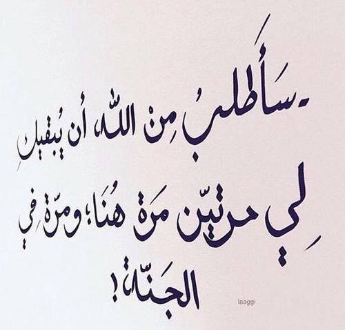صور كلام رومانسي 84ى