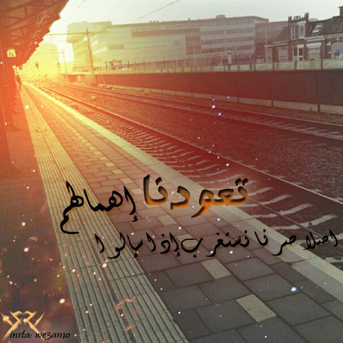 الحبيبة ع488