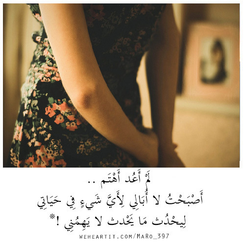 حبيبي 4ع8