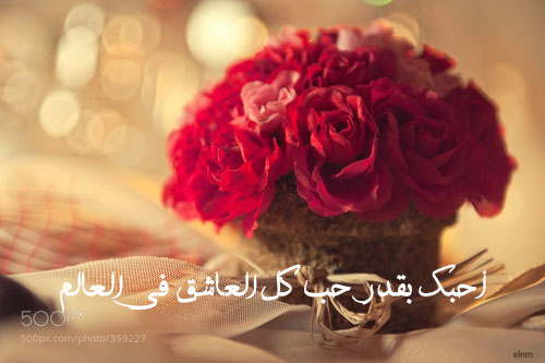 ورد احمر 78