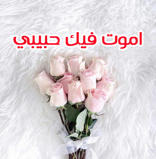 ورد للحبيب