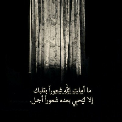 مشاعر الزوجة