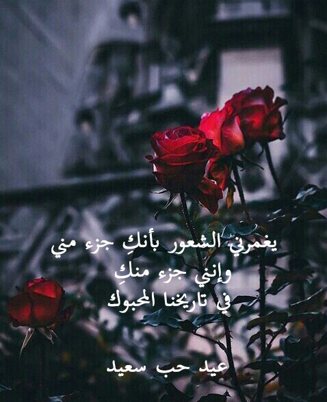 ورد عيد الحب 40