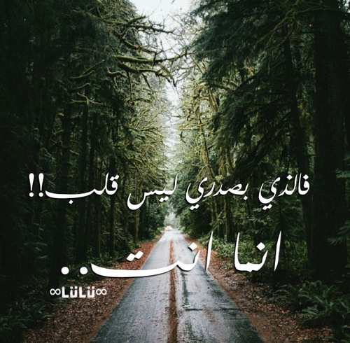 قصيرة رومانسية 39حص