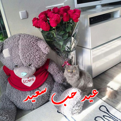 عيد الحب 5