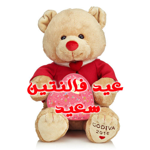 عيد الحب 6