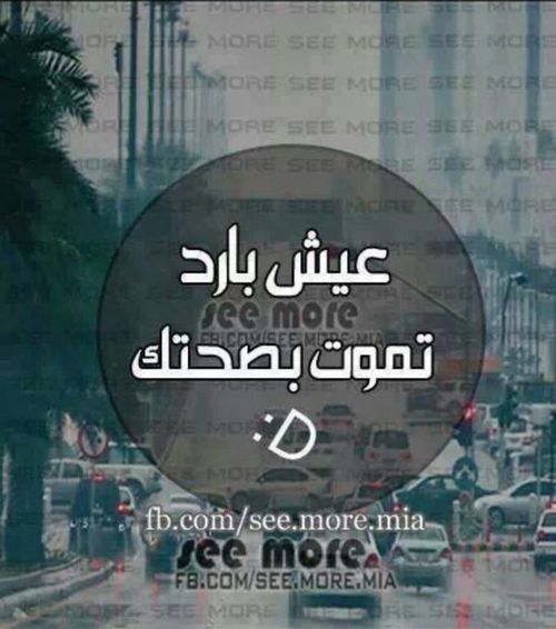 برود