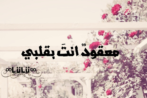 جميلة رومانسية 9خ6