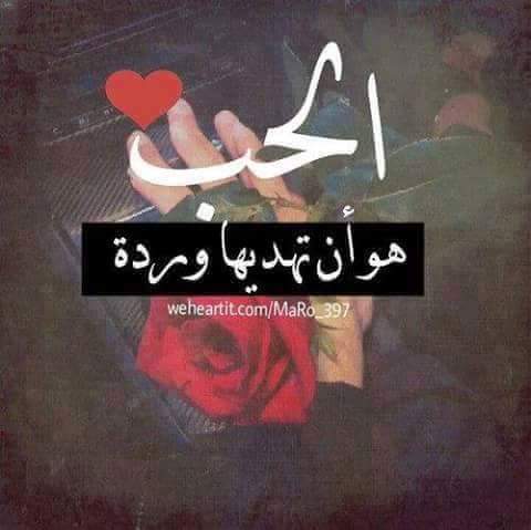 حب واهتمام 540
