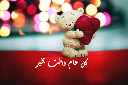 دب عيد الحب 67