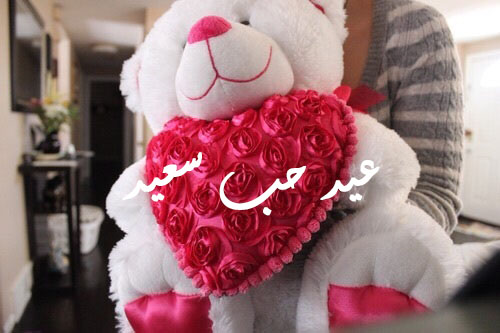 دباديب عيد الحب 49