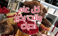 رمزيات عيد الحب