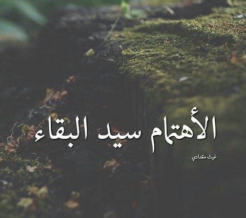 عن الاهتمام 5م
