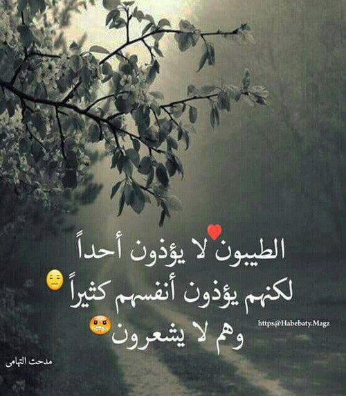 كلام حزين