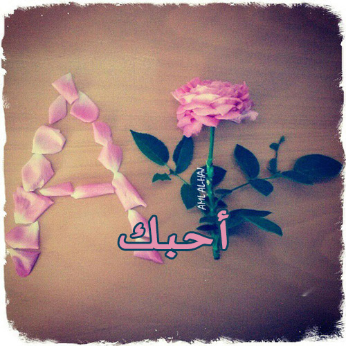 كلمة احبك