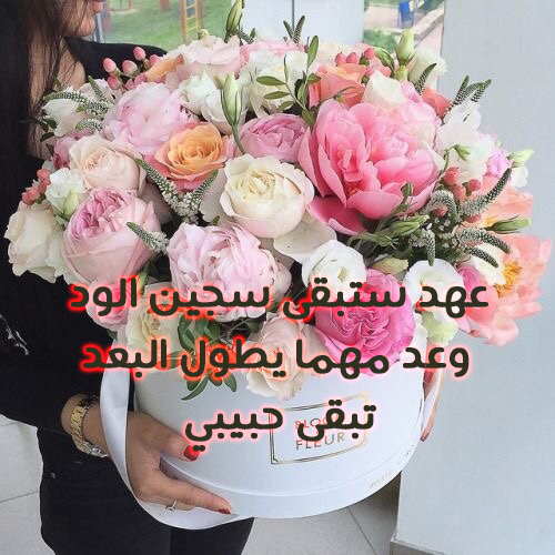 ورد عيد الحب 67