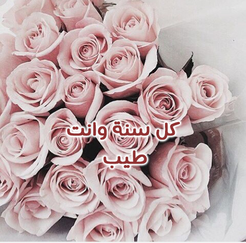 ورود عيد الحب 0