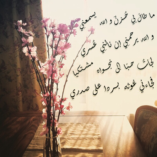 حزين صباحي