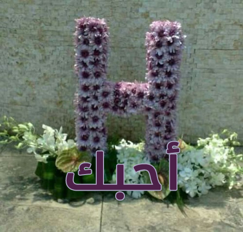 احبك حرف H للحبيب